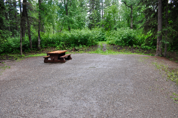 the new yard of the two RV Gypsies